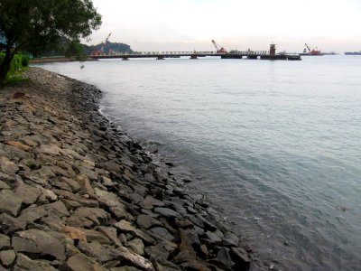 Pasir Panjang Ferry Terminal 5, Nov 06