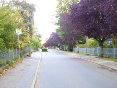 Paulinenallee