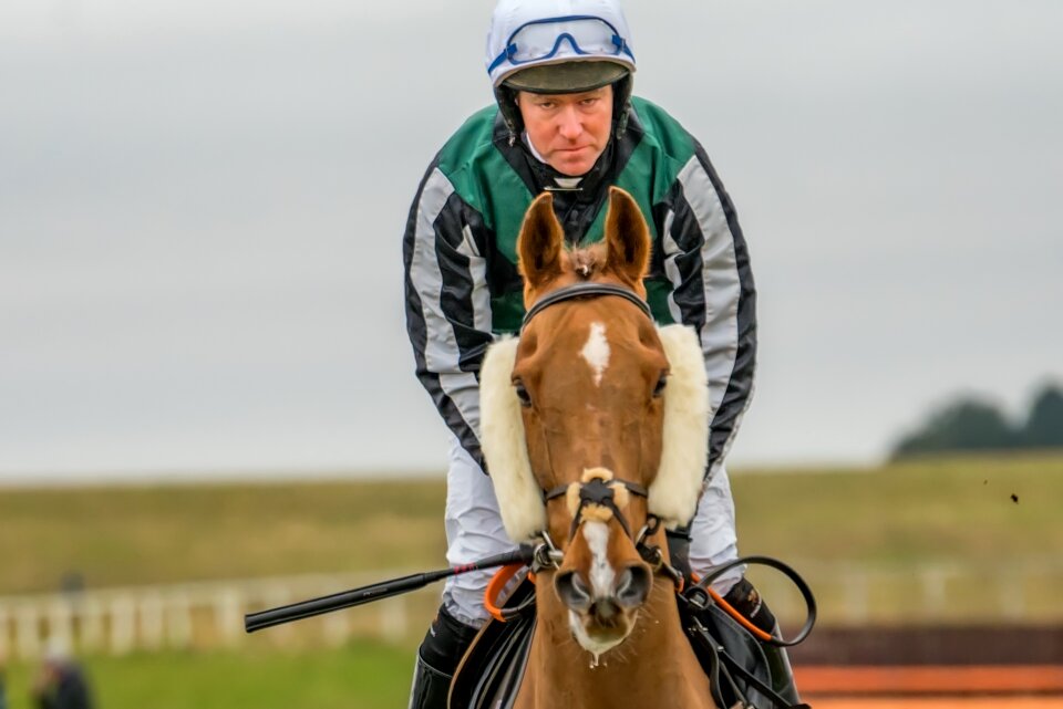 Jockey thoroughbred competition