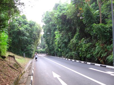 Pender Road, Nov 06