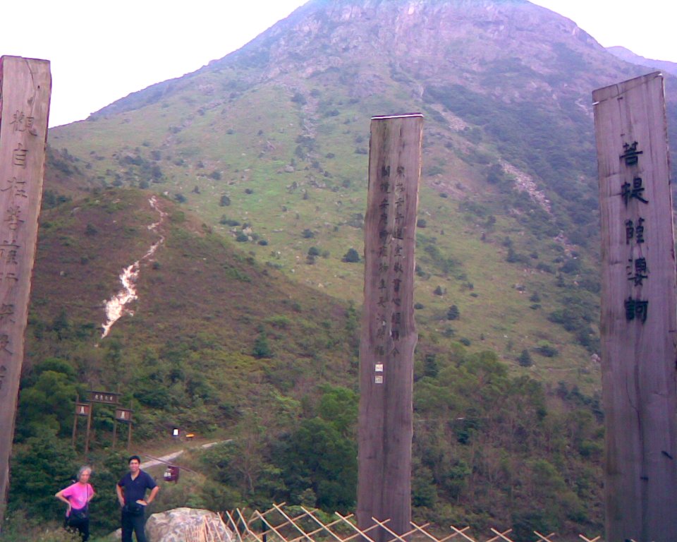 Photo of wisdom path