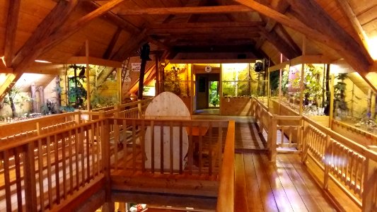 Pilzmuseum Treffen 2