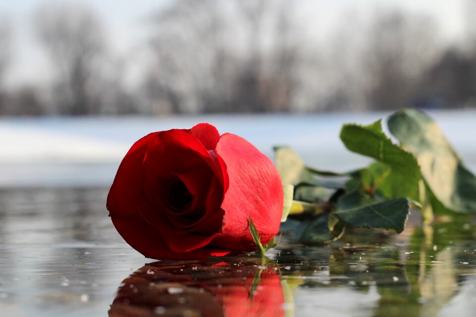 Love symbol romance winter