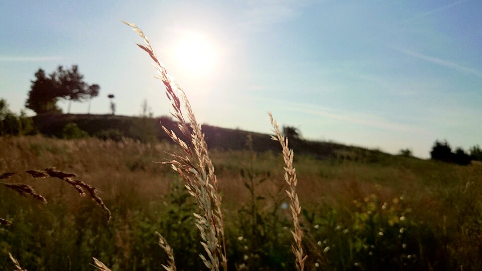 Sunshine sun rays rural photo