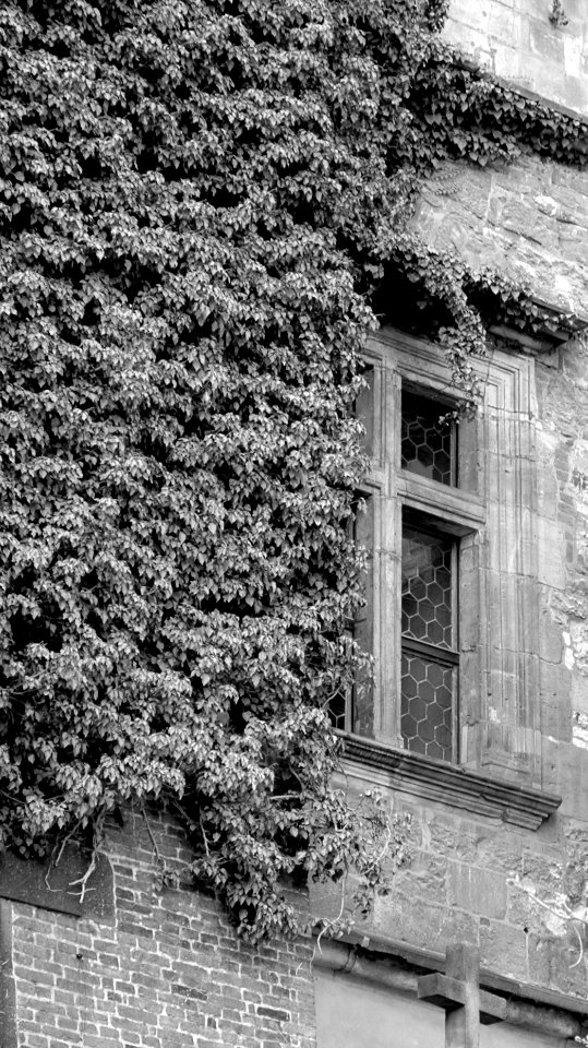 Prager fenstersturz