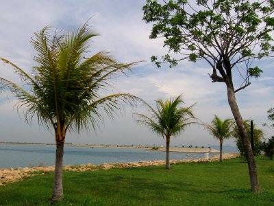 Pulau Semakau 19, Nov 06