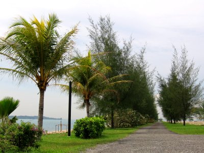 Pulau Semakau 22, Nov 06