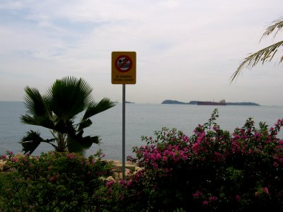 Pulau Semakau 11, Nov 06