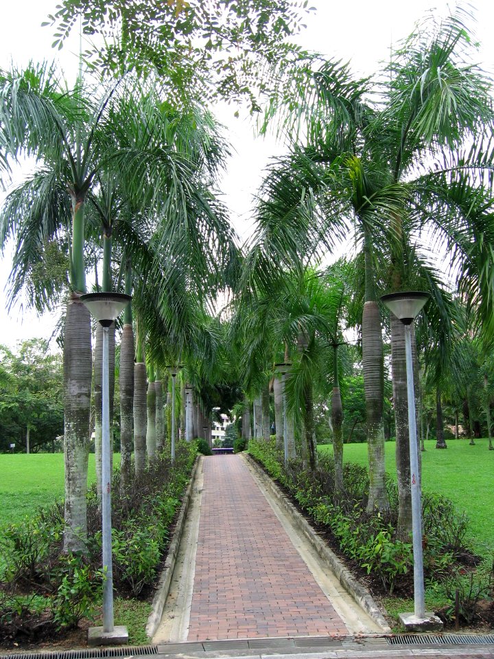 Punggol Park 7, Nov 06