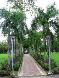 Punggol Park 7, Nov 06