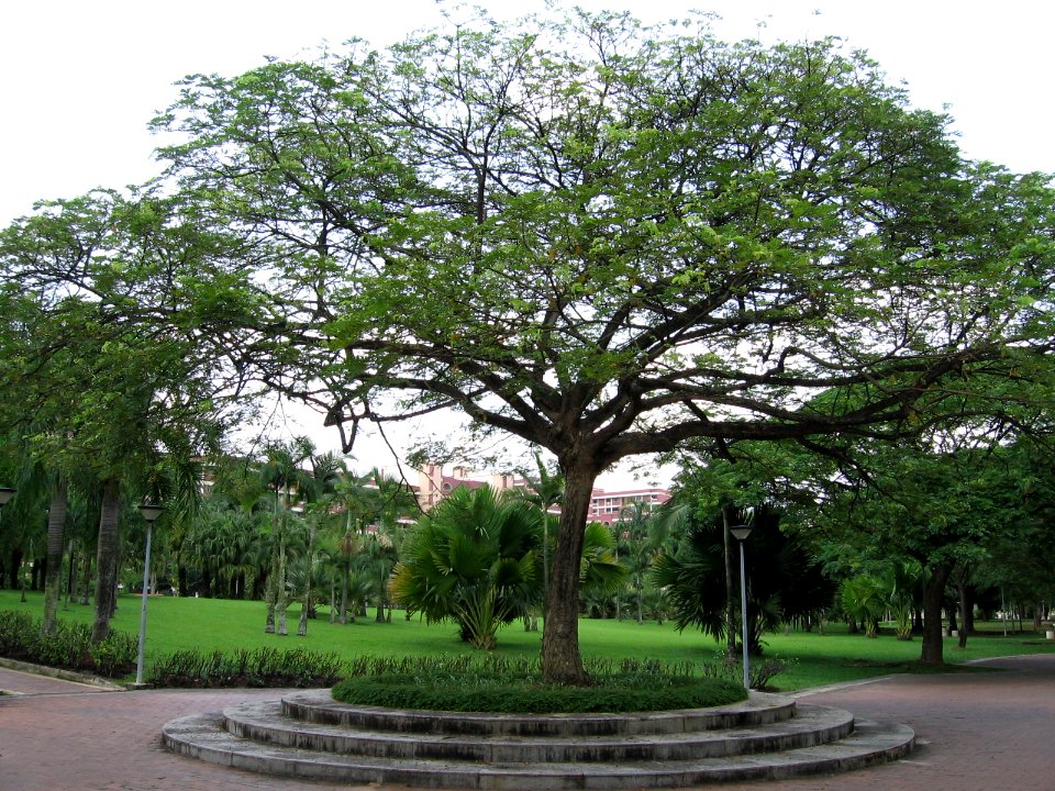 Punggol Park 6, Nov 06