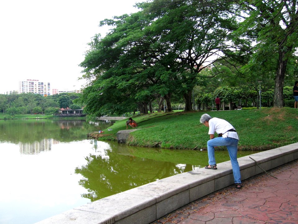 Punggol Park 4, Nov 06
