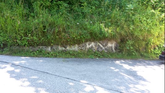Reste der Auffahrt zum Berghof 2018