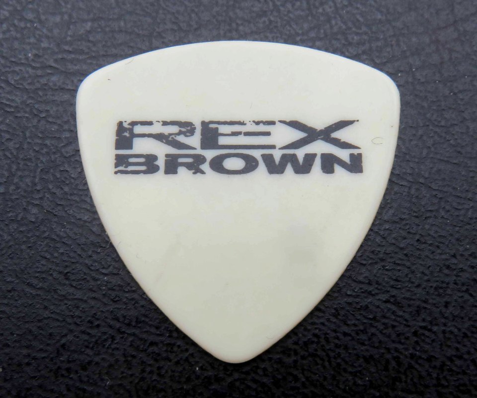 Rex Brown Plektrum