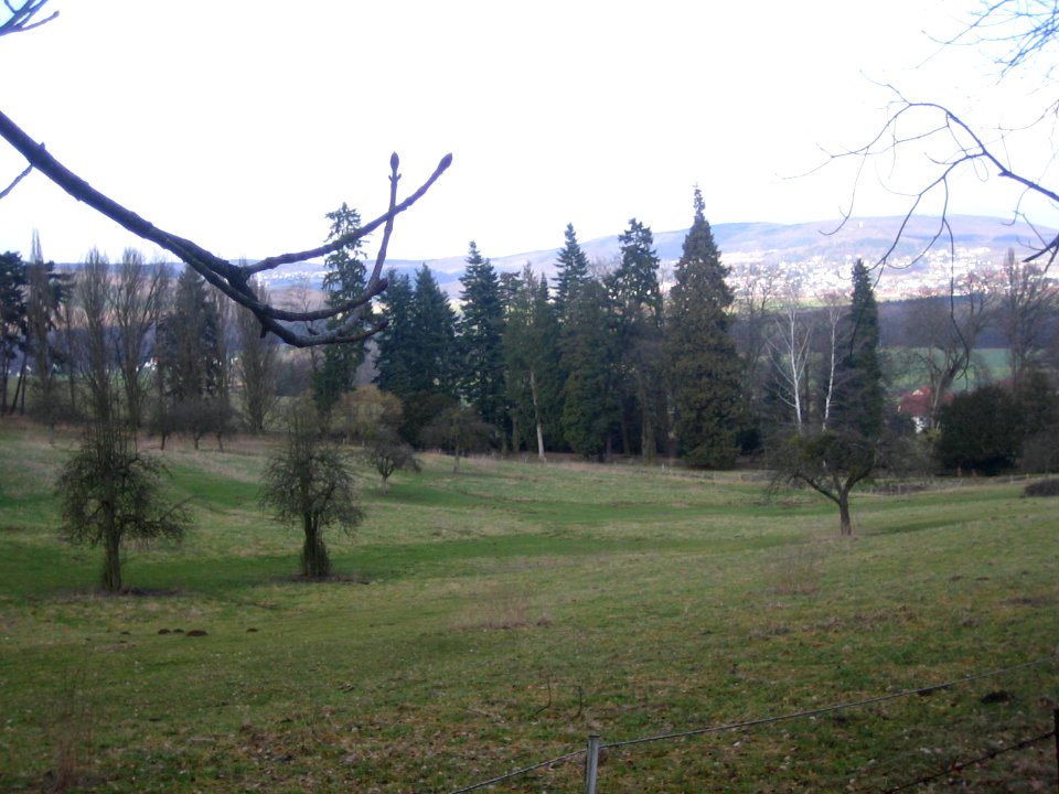 Reste des Landschaftsparks von Riede