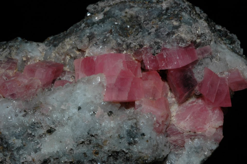 Rhodocrosite (Mont Saint-Hilaire Québec - Canada)
