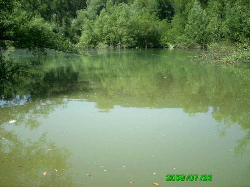 Roßkopfarm, Stopfenreuther Au