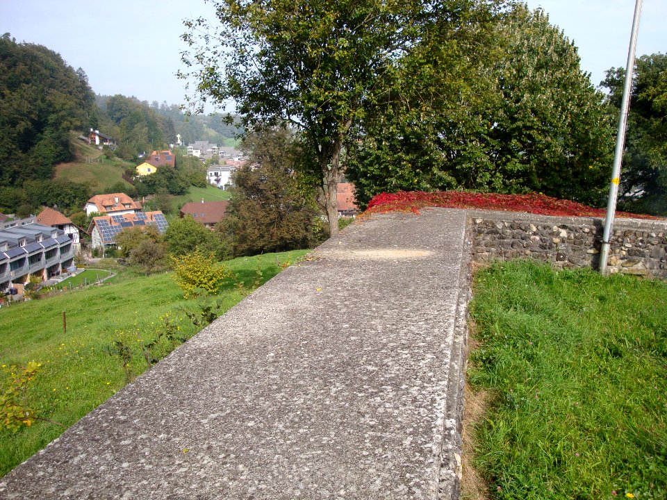 Ruine Oberwangen