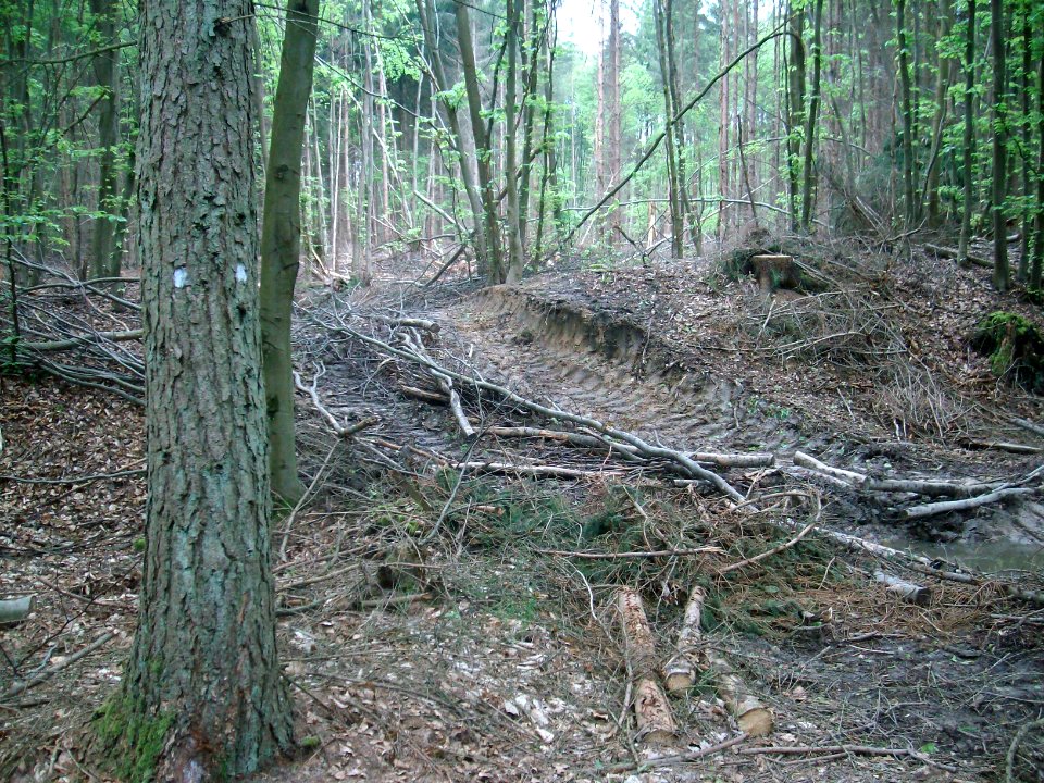 Römisches Lager Oberbrechen - Alteburg 031
