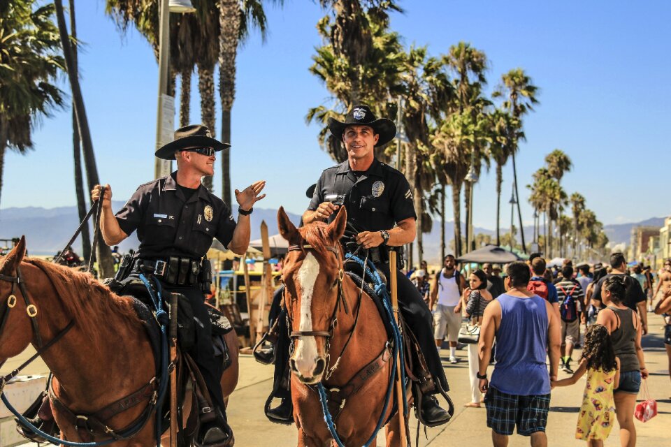 Horse travel adventure