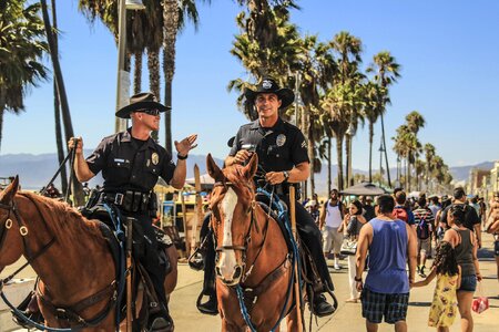 Horse travel adventure