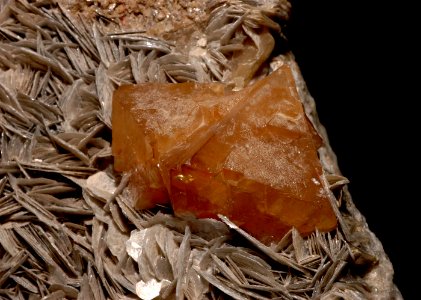 Scheelite sur mica (Chine)