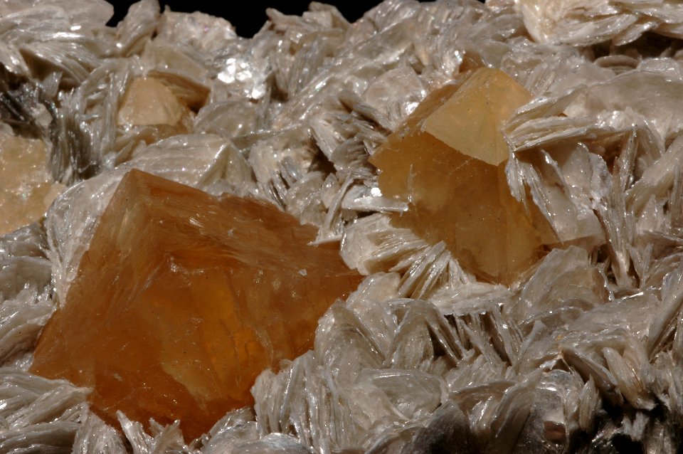 Scheelite2 sur mica (Chine)