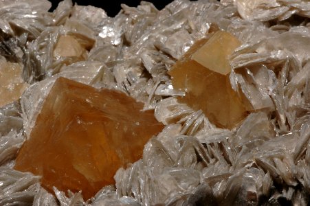 Scheelite2 sur mica (Chine)