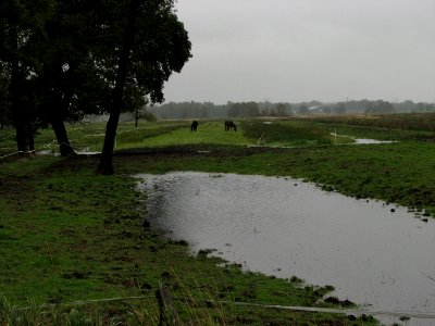 Schietwetter-rr-08