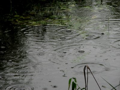 Schietwetter-rr-20