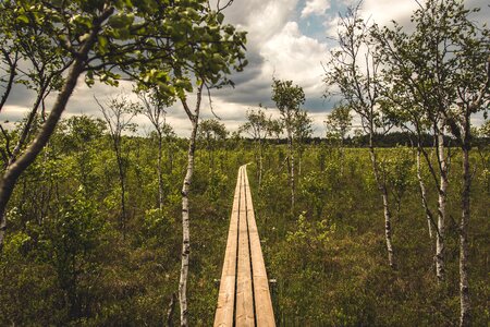 Landscape sky sweden photo