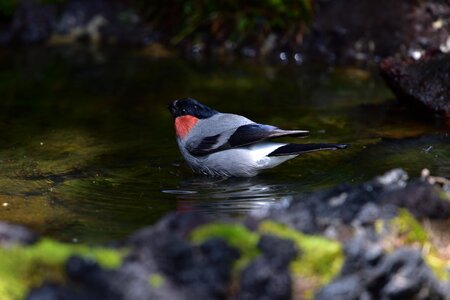 Outdoors waters free