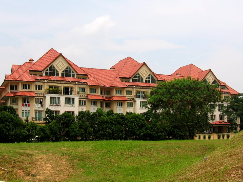 Seletar Springs, Aug 06