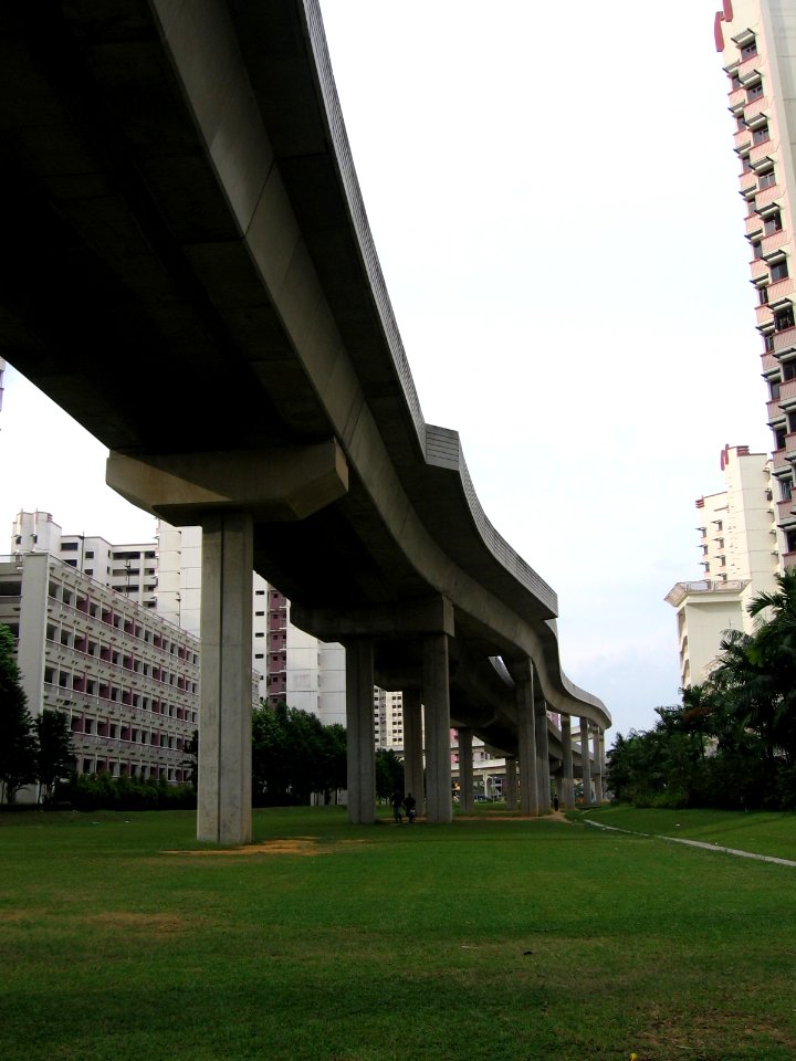 Sengkang LRT Viaduct