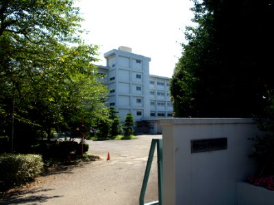 Shoyo highschool
