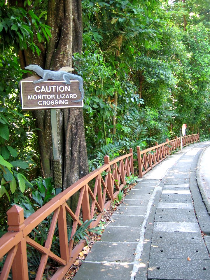 Siloso Road, Sentosa, Aug 06