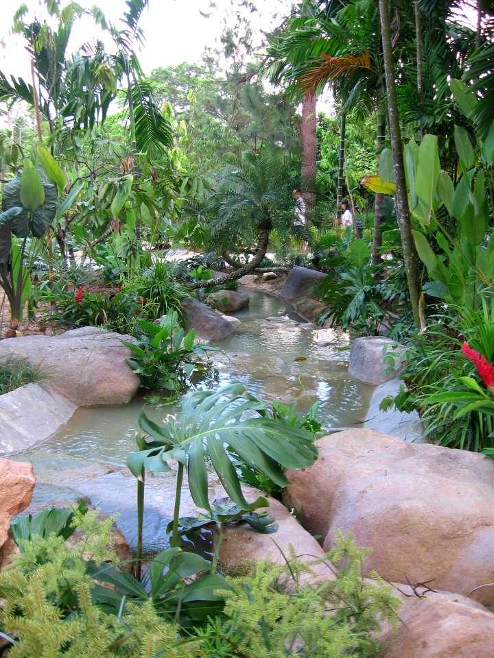 Singapore Botanic Gardens 5, Jul 06
