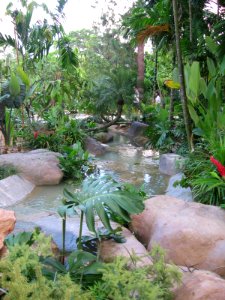 Singapore Botanic Gardens 5, Jul 06
