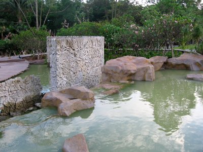 Singapore Botanic Gardens 2, Jul 06