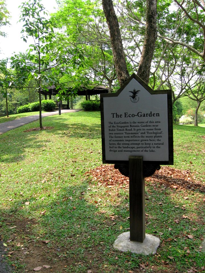 Singapore Botanic Gardens, Bukit Timah Core 2, Sep 06