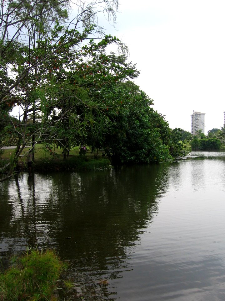 Singapore Botanic Gardens, Eco-lake 2, Sep 06
