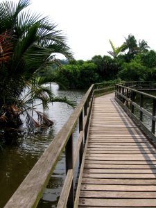 Singapore Botanic Gardens, Eco-lake 6, Sep 06