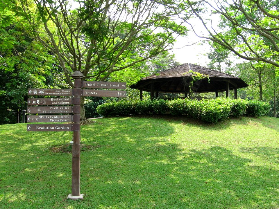 Singapore Botanic Gardens, Bukit Timah Core, Sep 06