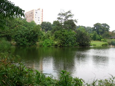 Singapore Botanic Gardens, Eco-lake 3, Sep 06 photo