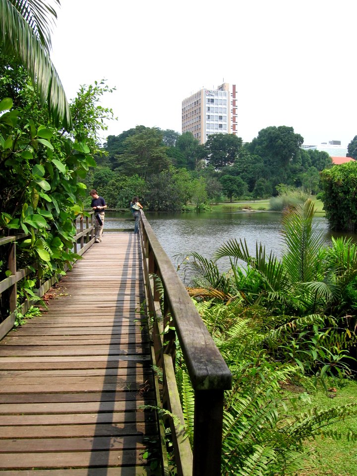 Singapore Botanic Gardens, Eco-lake 7, Sep 06