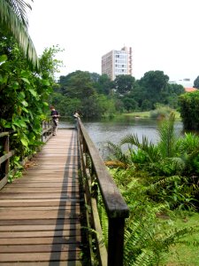 Singapore Botanic Gardens, Eco-lake 7, Sep 06 photo