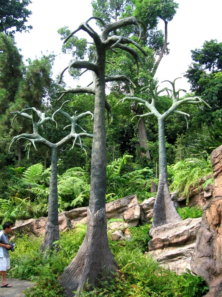Singapore Botanic Gardens, Evolution Garden 13, Sep 06