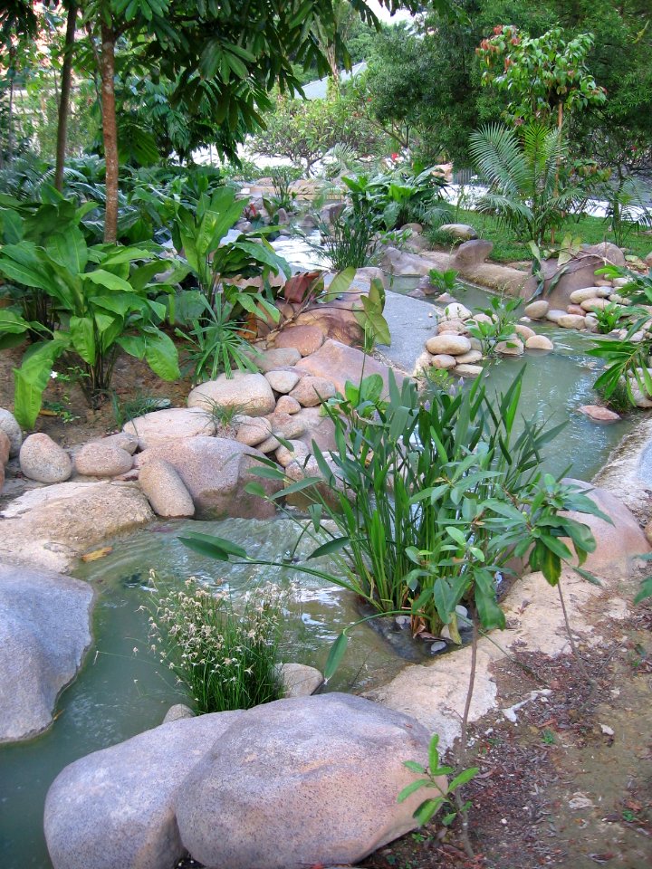 Singapore Botanic Gardens 4, Jul 06