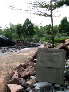 Singapore Botanic Gardens, Evolution Garden 20, Sep 06