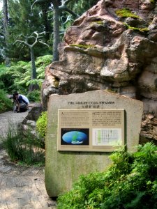 Singapore Botanic Gardens, Evolution Garden 14, Sep 06